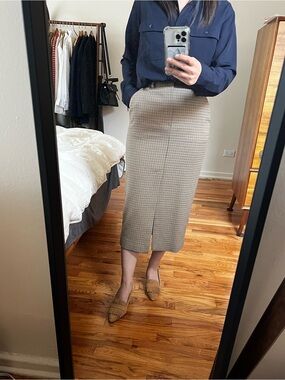 Zara Midi Pencil Skirt